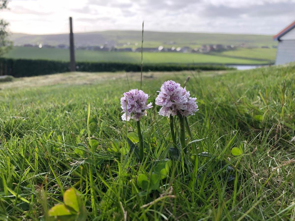 Easterhoull Chalets Scalloway Esterno foto